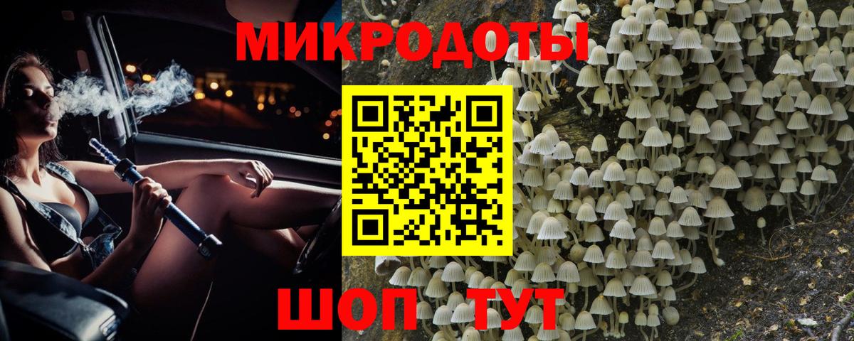 что такое   Вход с VPN  Галлюциногенные грибы Cubensis  Корсаков  Псилоцибиновые грибы мухоморы 